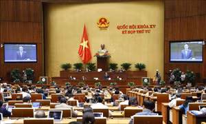 Thông cáo báo chí số 13, Kỳ họp thứ 4, Quốc hội khóa XV