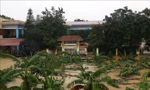 Hà Nội: Mưa lớn làm tràn bờ bao ở nhiều huyện, sẵn sàng sơ tán người dân