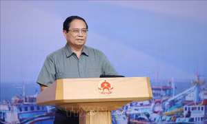 Thủ tướng Phạm Minh Chính: Xử lý nghiêm trách nhiệm người đứng đầu trong chống khai thác IUU