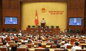 Bên lề Quốc hội: Mong muốn Bộ trưởng Công Thương thực hiện đúng cam kết sau chất vấn