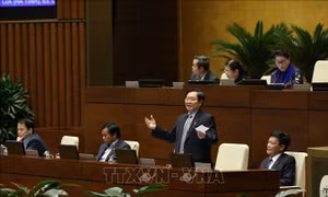 Bộ trưởng Lê Vĩnh Tân: Sẽ thực hiện quy trình bổ nhiệm thăng hạng xét nâng ngạch công chức