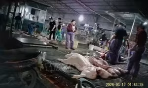 Cần chế tài nghiêm khắc với đối tượng kinh doanh thực phẩm 'bẩn'