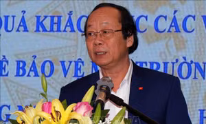 Tuần lễ Môi trường Việt Nam-Nhật Bản lần thứ hai năm 2021