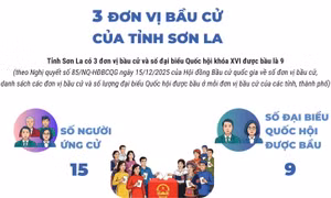 3 đơn vị bầu cử của tỉnh Sơn La