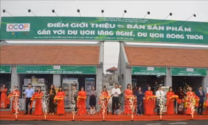 Tưởng nhớ, tri ân công lao danh nhân lịch sử Nguyên phi Ỷ Lan