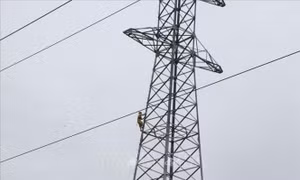 Chấp thuận chủ trương đầu tư dự án đường dây 220kV Phong Thổ - Than Uyên