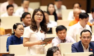 Thu hút đầu vào, siết chặt đầu ra ở bậc Đại học