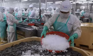 Lộ trình truy xuất nguồn gốc nông, lâm, thủy sản đến năm 2035