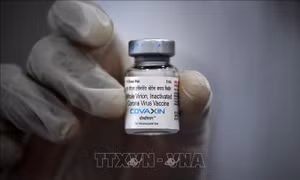 Bộ Y tế phê duyệt có điều kiện vaccine phòng COVID-19 Covaxin