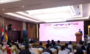 Tìm giải pháp gia tăng thị phần bưu chính trong bối cảnh mới