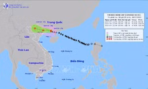  Quảng Ninh còn trên 600 khách du lịch ở lại các đảo