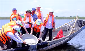 Thành lập Khu bảo tồn thiên nhiên đất ngập nước Tam Giang - Cầu Hai
