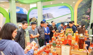 Hấp dẫn những 'miền đặc sản' tại Hội chợ Mùa Thu 2025