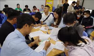 Thành phố Hồ Chí Minh tuyển dụng 36.400 việc làm