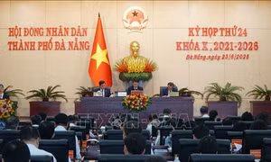 Nỗ lực vượt khó, duy trì đà tăng trưởng
