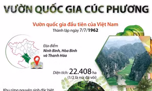 60 năm Vườn quốc gia Cúc Phương - Khu rừng nhiệt đới hàng đầu thế giới
