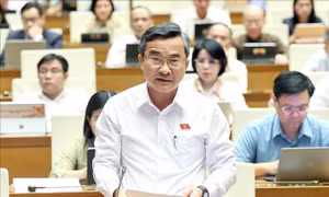 Phân định rõ trách nhiệm của cơ quan Nhà nước trong giải quyết yêu cầu bồi thường