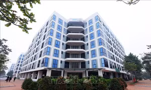Phát triển nhà ở xã hội - Bài 2: Góc nhìn của người trong cuộc