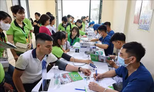 Nhiều hoạt động đồng hành cùng thanh niên, công đoàn
