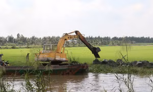 Tây Ninh nỗ lực chống lũ, bảo vệ sản xuất nông nghiệp
