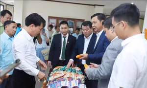 Mở ra hướng hợp tác mới trong lĩnh vực nông nghiệp Việt Nam - Lào