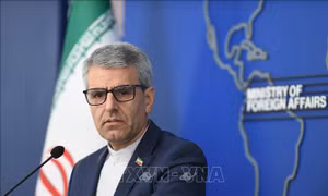 Iran hối thúc Mỹ đưa ra đảm bảo chính thức về dỡ bỏ trừng phạt