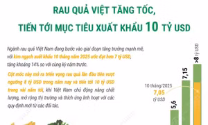 Rau quả Việt tăng tốc, tiến tới mục tiêu xuất khẩu 10 tỷ USD