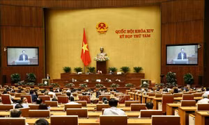  Sáng 12/11, Quốc hội thảo luận Báo cáo nghiên cứu khả thi dự án sân bay Long Thành giai đoạn 1