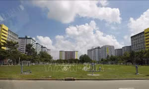 Thành lập Hội đồng thẩm định Quy hoạch mạng lưới cơ sở giáo dục đại học và sư phạm