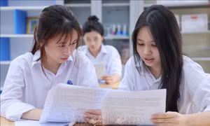 Vào lớp 10 công lập không phải con đường duy nhất để nối dài sự học