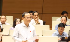 Giảm thiểu yếu tố ngoại trừ trong hoạt động kiểm toán