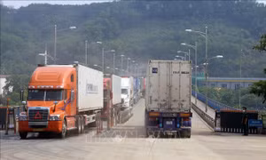 Lào Cai đảm bảo thông quan nhanh chóng hàng nông sản