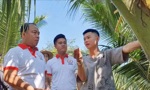  Thành công với nông nghiệp hữu cơ