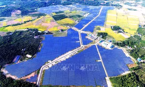 Đắk Nông kiểm tra việc bảo vệ môi trường tại 44 dự án