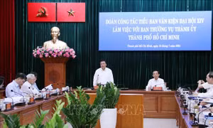 TP Hồ Chí Minh khẳng định vai trò, vị thế đô thị đặc biệt