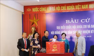 Cử tri thành phố Cảng rạng rỡ trong ngày hội của niềm tin và đoàn kết