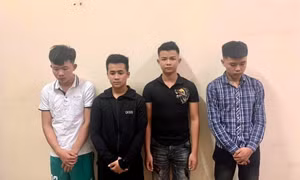 Nghệ An: Điều tra 5 đối tượng phá hoại vườn dưa hấu của người dân để trả thù