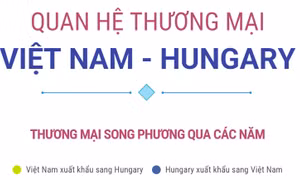 Thương mại song phương Việt Nam - Hungary