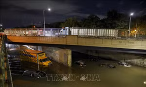Ít nhất 41 người bị thiệt mạng do hoàn lưu siêu bão Ida tại Mỹ