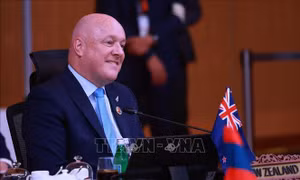 Thủ tướng New Zealand cải tổ nội các trước thềm tổng tuyển cử