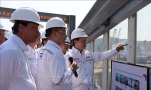 Đề xuất hình thành Trung tâm năng lượng tái tạo tại Bà Rịa - Vũng Tàu