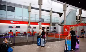 UPU, IATA kêu gọi chính phủ các nước hỗ trợ chuyển bưu phẩm qua đường hàng không