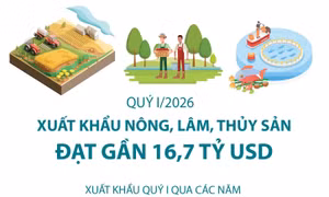 Quý I/2026: Xuất khẩu nông, lâm, thủy sản đạt gần 16,7 tỷ USD