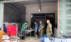 Siết chặt kiểm soát giết mổ, xử lý dứt điểm ổ dịch tả lợn châu Phi