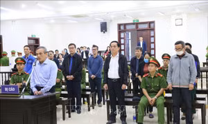 Xét xử vụ án tại BIDV: Làm rõ hành vi của các bị cáo