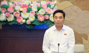Tập trung chuyển đổi số trong lĩnh vực dân nguyện và giám sát của Quốc hội
