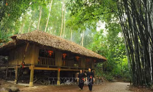 Khu bảo tồn làng nhà sàn dân tộc Thái Hải 