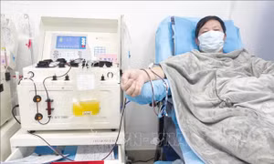 Phương pháp truyền dịch huyết tương từ những bệnh nhân khỏi bệnh cho kết quả đáng khích lệ 