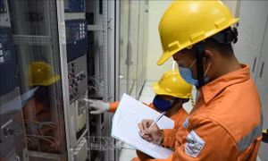 Vì nguồn điện sáng cho Thủ đô trong xuân mới