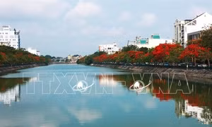 Tự hào 'Thành phố Anh hùng'